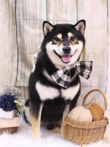 20241020ココくん